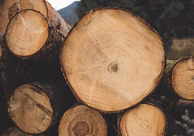 Lumber Selection